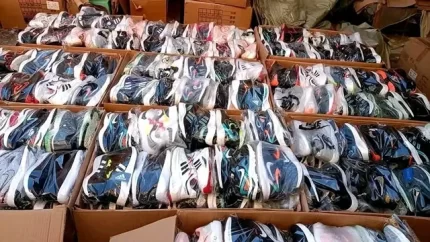 Authentic Mixed Sports Shoes Pallet - Original Sealed